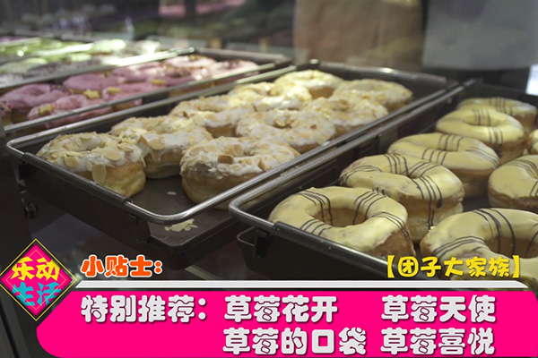 团子大家族甜甜圈采访报道视频
