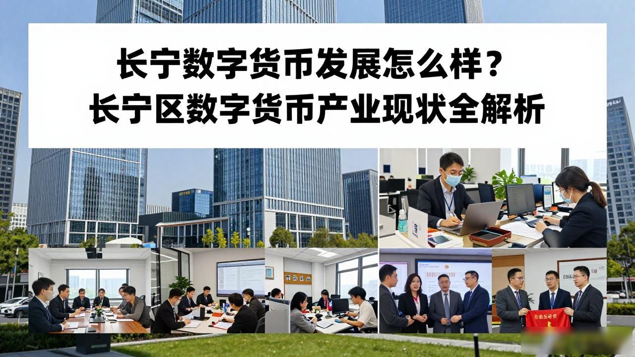 长宁区数字货币产业发展_数字货币 长宁_长宁区金融科技园区数字货币应用