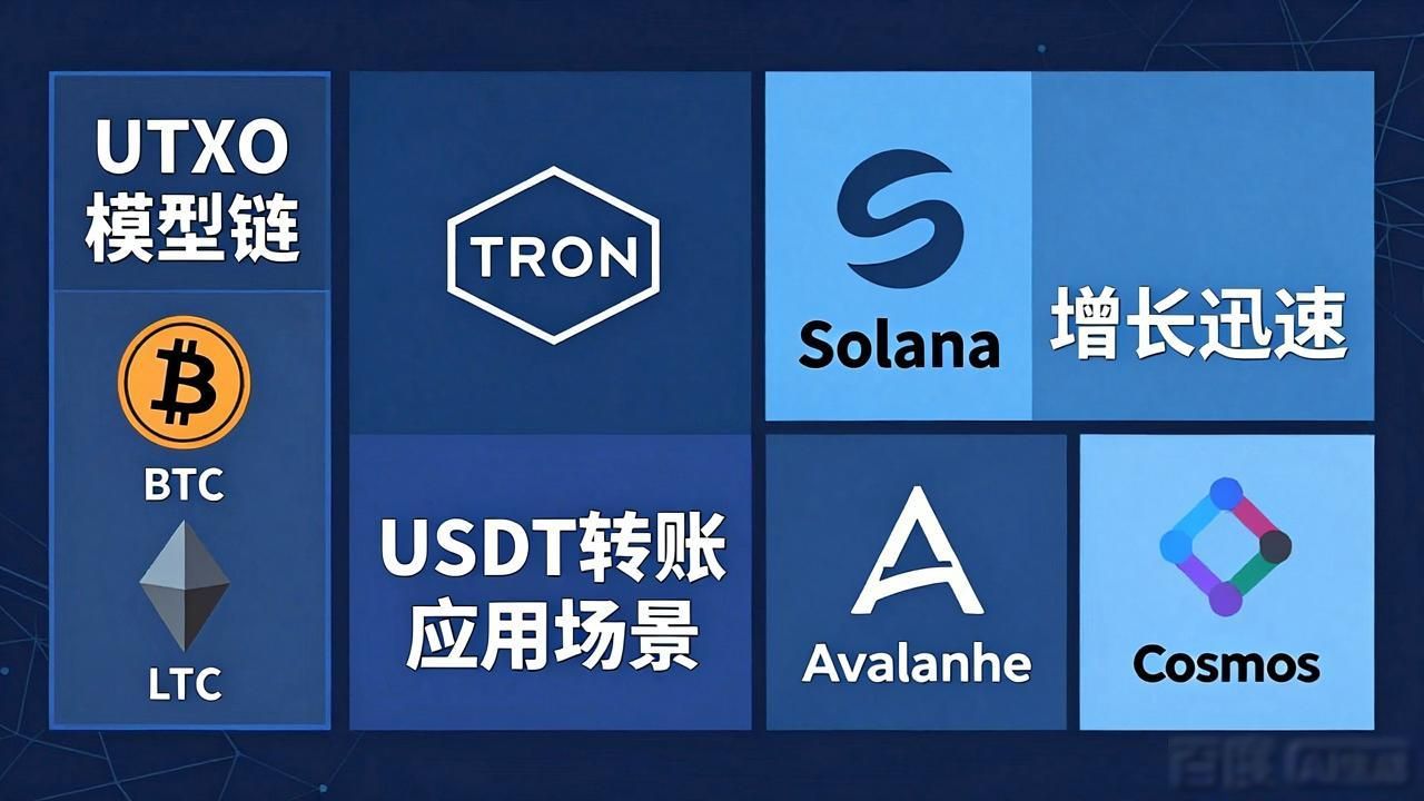 新版链官网_imToken最新版支持的链与网络概览_imToken最新版支持的链与网络概览